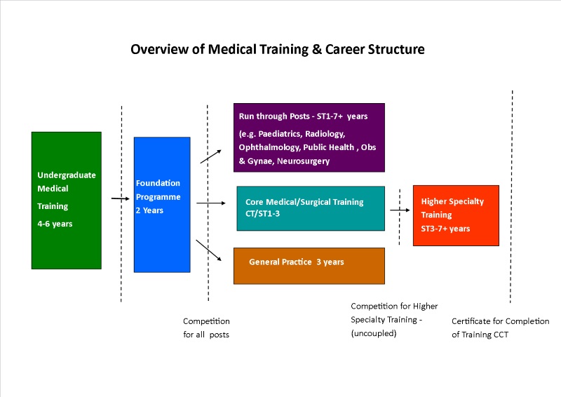 medical-career-overview.jpg